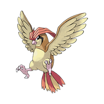 imagem Pidgeotto